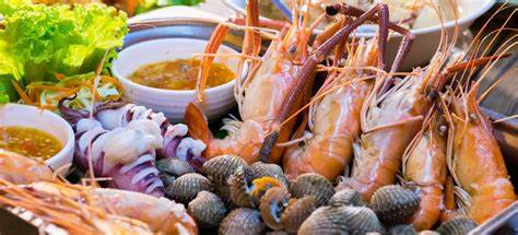 thuê xe tự lái và có tài ở Nha Trang
