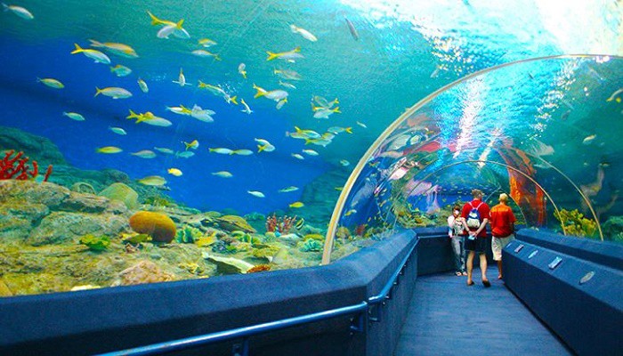 top 10 địa điểm du lịch Nha Trang